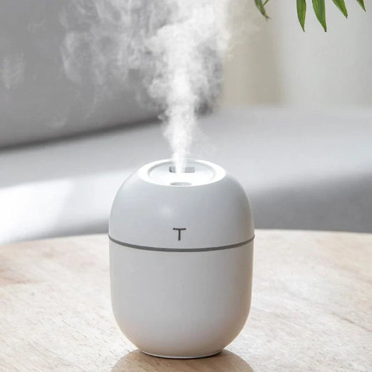 Portable Mini USB Humidifier